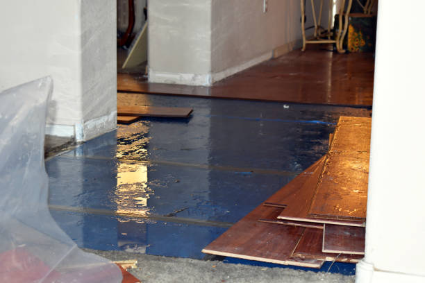 Professional Water Damage Restoration technician working in Normandy, MO